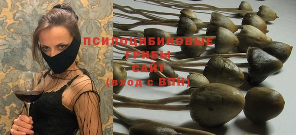 эйфоретик Алексин