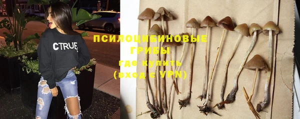 трава Алзамай
